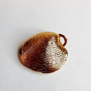 Colgante almeja (10 unidades)