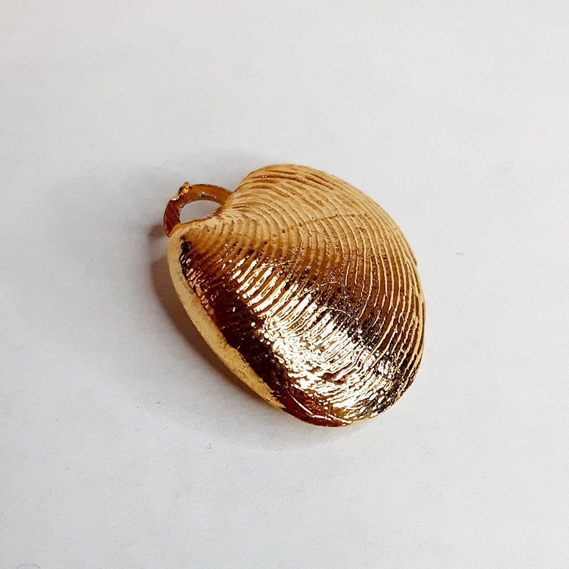 Colgante almeja (10 unidades)