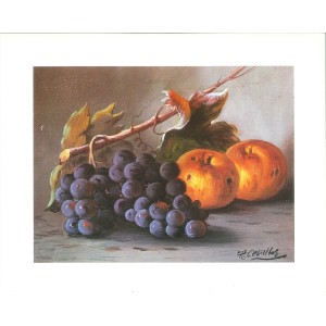 17 LAMINAS DE BODEGONES