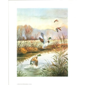 17 LAMINAS ESCENAS TRADICIONALES DEL CAMPO