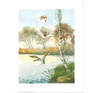 17 LAMINAS ESCENAS TRADICIONALES DEL CAMPO