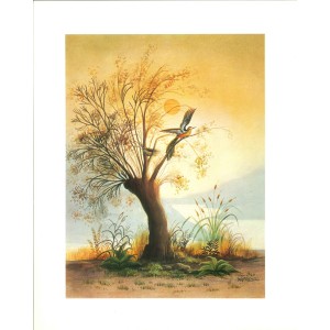 17 LAMINAS ESCENAS TRADICIONALES DEL CAMPO