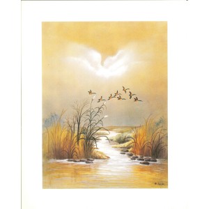 17 LAMINAS ESCENAS TRADICIONALES DEL CAMPO