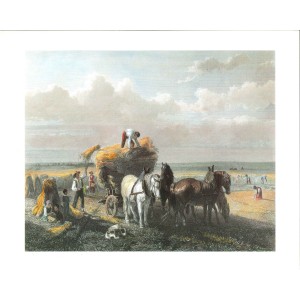 17 LAMINAS ESCENAS TRADICIONALES DEL CAMPO