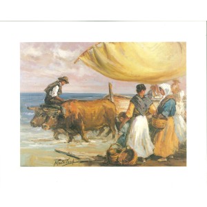 17 LAMINAS ESCENAS TRADICIONALES DEL CAMPO