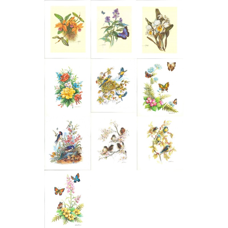 10 LAMINAS FLORES PÁJAROS Y MARIPOSAS