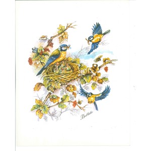 10 LAMINAS FLORES PÁJAROS Y MARIPOSAS