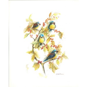 10 LAMINAS FLORES PÁJAROS Y MARIPOSAS