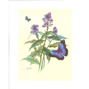 10 LAMINAS FLORES PÁJAROS Y MARIPOSAS