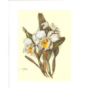 10 LAMINAS FLORES PÁJAROS Y MARIPOSAS