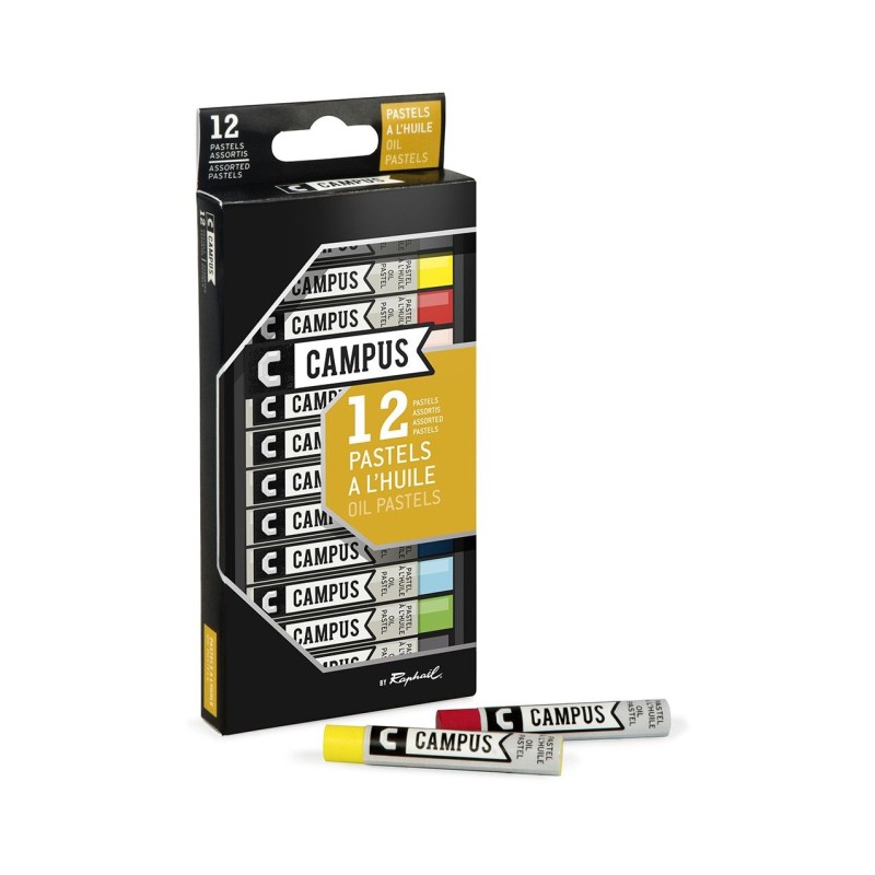 12 PASTELES AL OLEO CAMPUS RAPHAEL