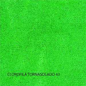 PINTURA PARA TELA SETACOLOR OPACA TORNASOLADA