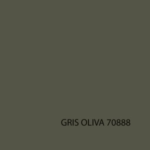 MODEL COLOR 70888  GRIS OLIVA