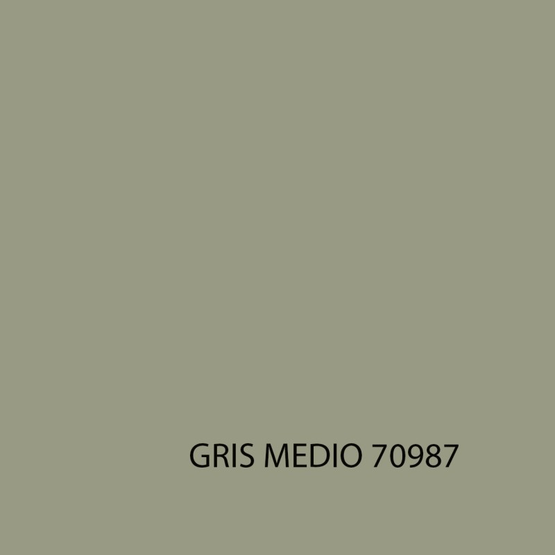MODEL COLOR 70987 GRIS MEDIO
