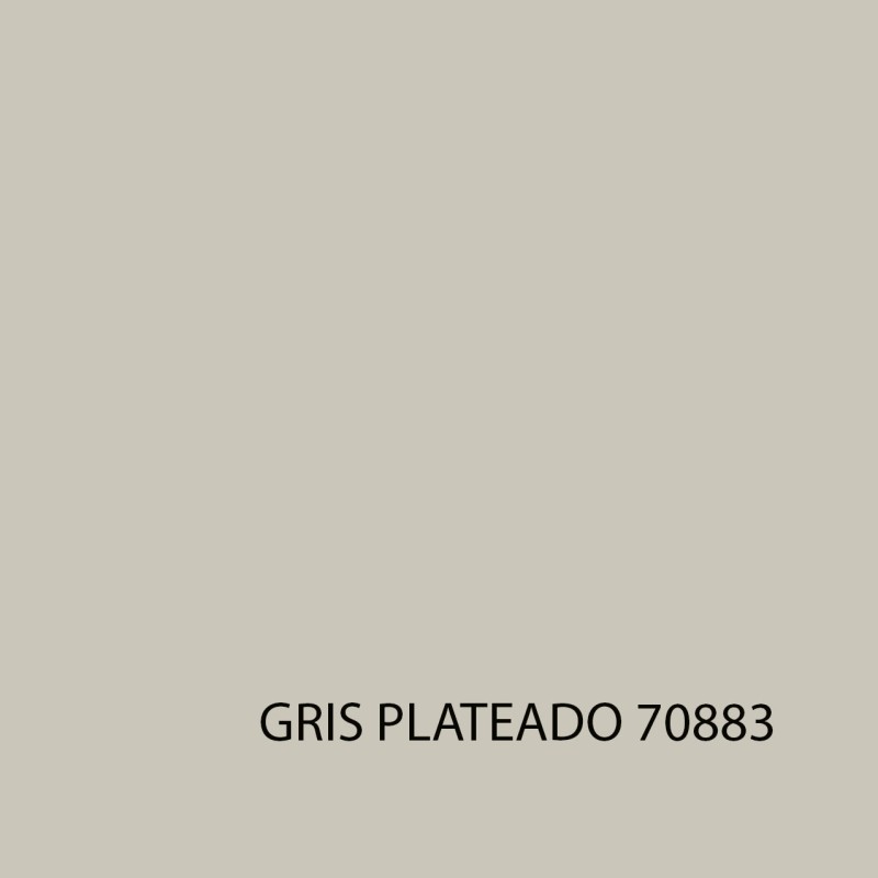 MODEL COLOR 70883 GRIS PLATEADO