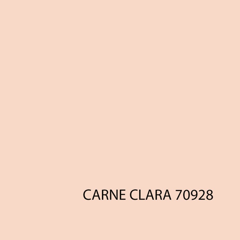 MODEL COLOR 70928 CARNE CLARA