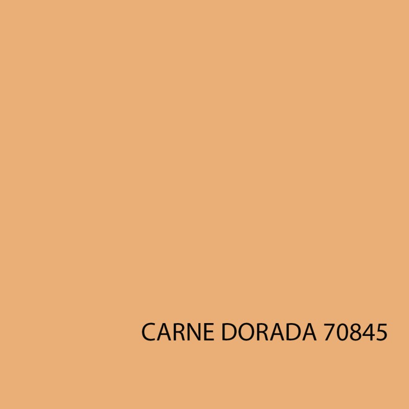MODEL COLOR 70845 CARNE DORADA