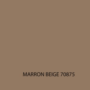 MODEL COLOR 70875 MARRON BEIGE