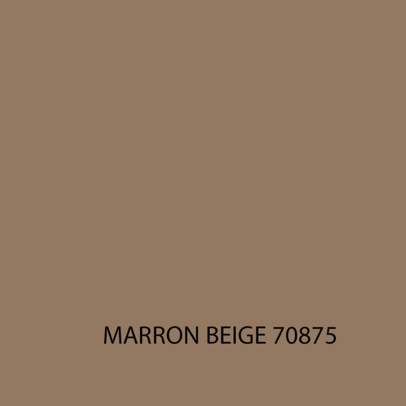 MODEL COLOR 70875 MARRON BEIGE