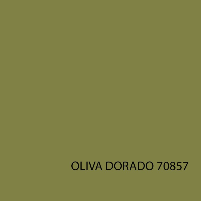 Model Color - Oliva Dorado 70857 Muestra de color