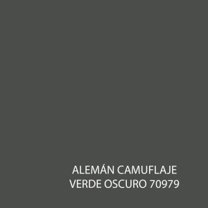 Model Color 70979 Alemán Camuflaje Verde Oscuro - Muestra de color
