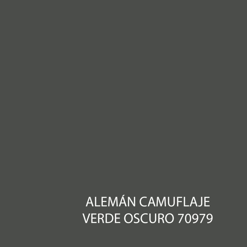 Model Color 70979 Alemán Camuflaje Verde Oscuro - Muestra de color
