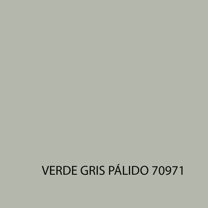 Model Color 70971 Verde Gris Pálido - Muestra de color
