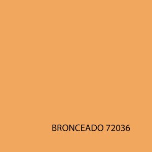 GAME COLOR 72036 BRONCEADO