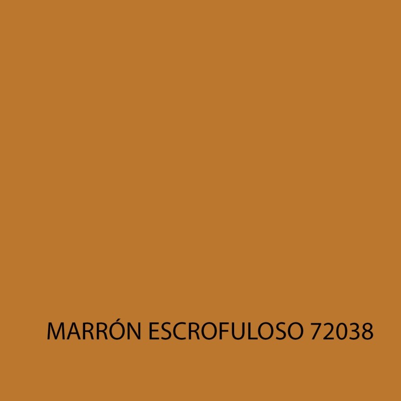GAME COLOR 72038 MARRÓN ESCROFULOSO