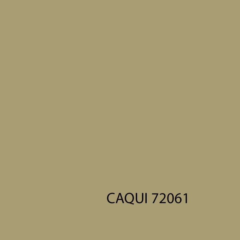 GAME COLOR 72061 CAQUI
