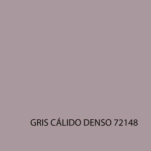 GAME COLOR 72148 GRIS CÁLIDO DENSO