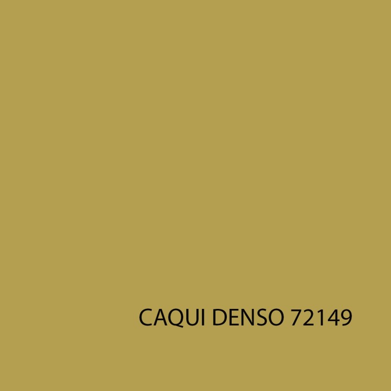 GAME COLOR 72149 CAQUI DENSO