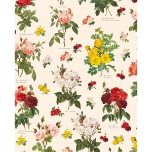 Papel decoupage TASS 50x70 - Motivo Ramos de rosas - TOPAZ