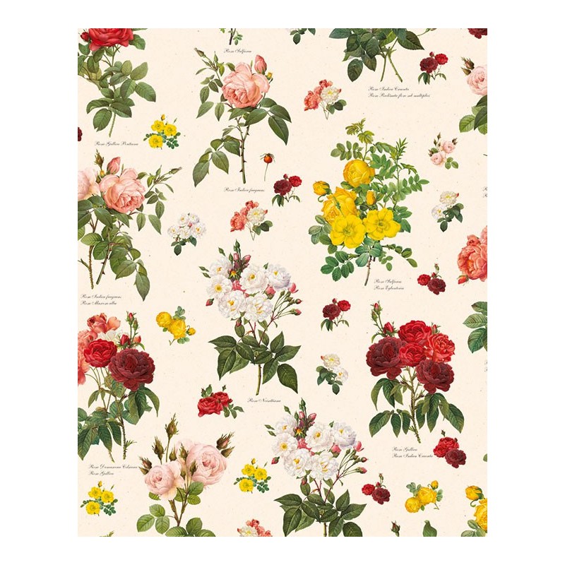 Papel decoupage TASS 50x70 - Motivo Ramos de rosas - TOPAZ