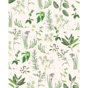 Papel decoupage TASS 50x70 - Motivo Plantas aromáticas - TOPAZ