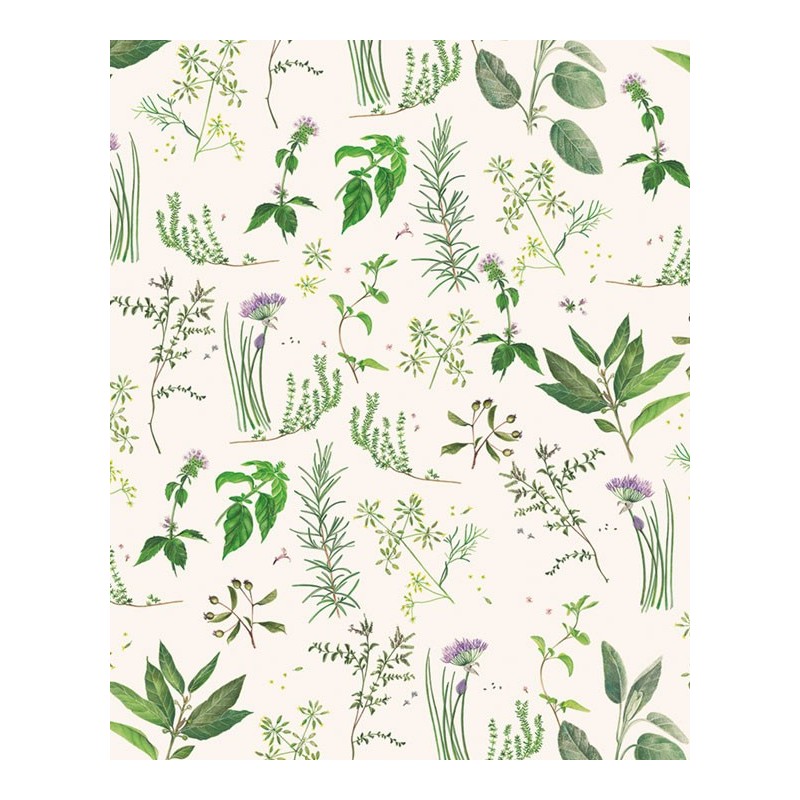 Papel decoupage TASS 50x70 - Motivo Plantas aromáticas - TOPAZ