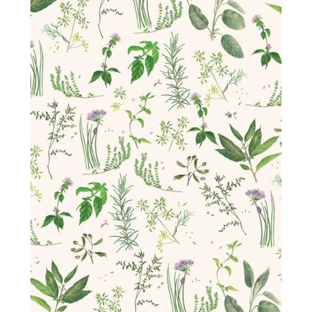 Papel decoupage TASS 50x70 - Motivo Plantas aromáticas - TOPAZ