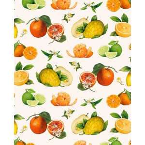Papel decoupage con motivo de citricos