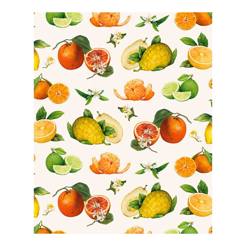 Papel decoupage con motivo de citricos