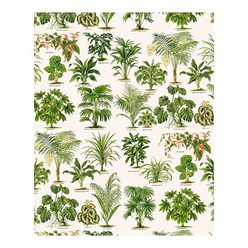 Papel decoupage TASS 50x70 - Motivo Ornamentales - TOPAZ