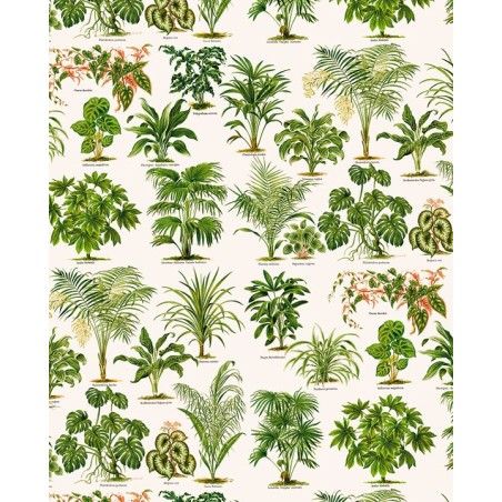 Papel decoupage TASS 50x70 - Motivo Ornamentales - TOPAZ