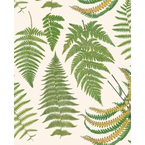 Papel decoupage motivo hojas de helecho