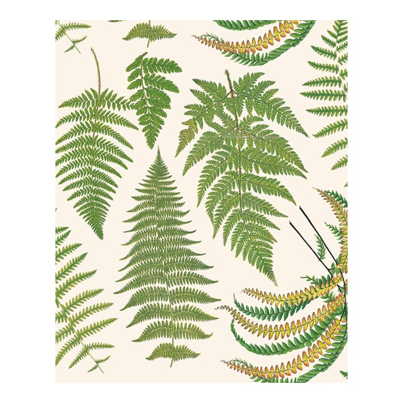 Papel decoupage motivo hojas de helecho