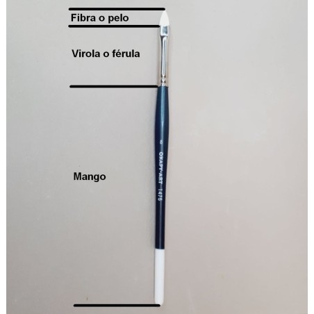 Las diferentes partes del pincel