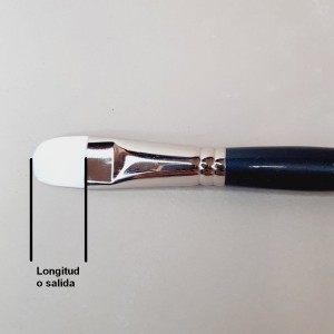 La salida de un pincel es la longitud de la fibra desde la virola hasta la punta