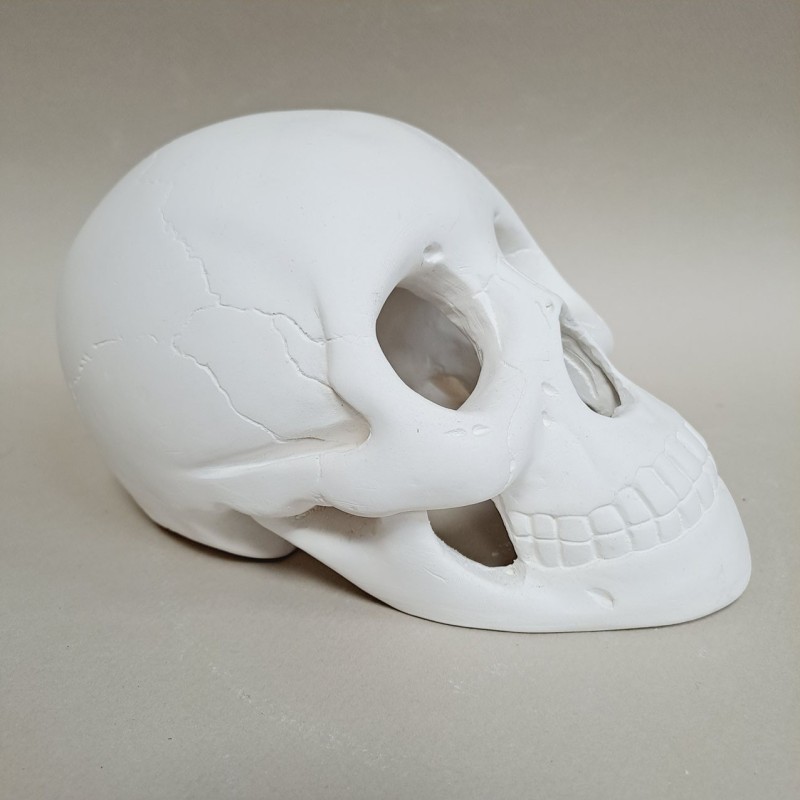 Figura de escayola calavera hueca vista lateral