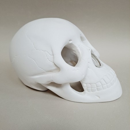 Figura de escayola calavera hueca vista lateral