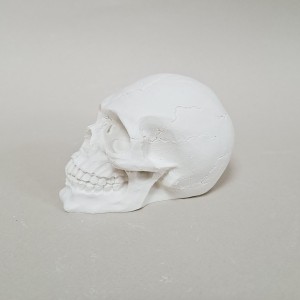 Figura de escayola calavera vista frente