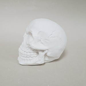 Figura de escayola calavera vista frente