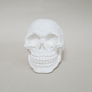 Figura de escayola calavera vista frente